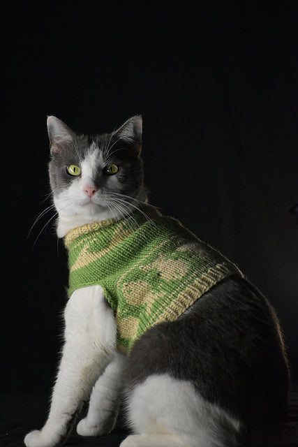 Cat Sweater Knitting Pattern | Fair Isle Cat Jumper | Top Down Knit | Colorwork Pet Sweater | Digital PDF Pattern