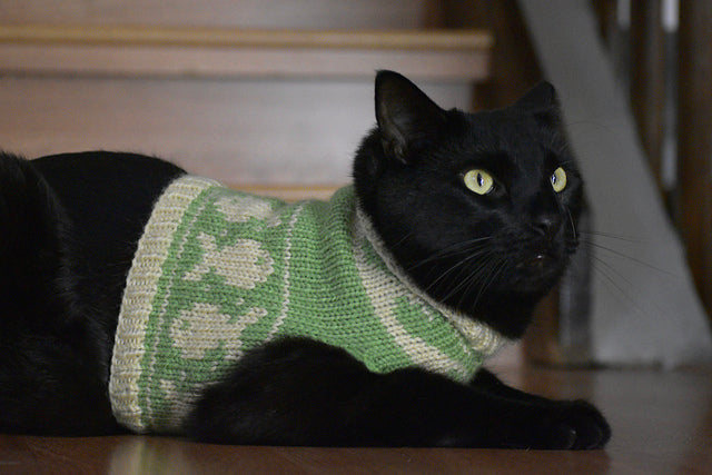 Cat Sweater Knitting Pattern | Fair Isle Cat Jumper | Top Down Knit | Colorwork Pet Sweater | Digital PDF Pattern